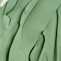 Expert Spirulina Cooling Modeling Mask
