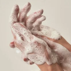 Heartleaf Succinic Moisture Cleansing Foam