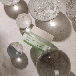 Phyto Plump Collagen Night Cream