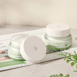 Phyto Plump Collagen Night Cream