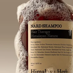 Shampoo Signature