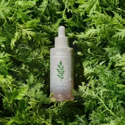 Time Revolution Artemisia Ampoule